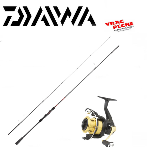 Ensemble daiwa Spitfire742 hmh 223  10-35g