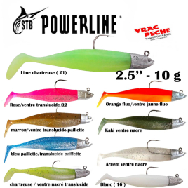 Leurre monte NAT SHAD 4" 15 gr  powerline